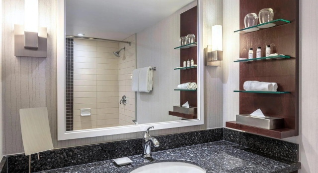 Двухместный номер Standard с видом на город Delta Hotels by Marriott Burnaby Conference Centre