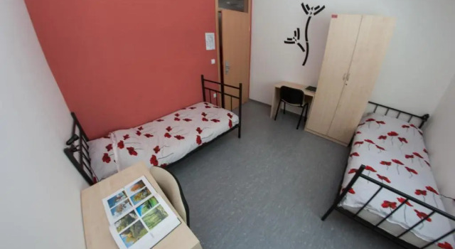 Двухместный номер Standard Hostel Velenje