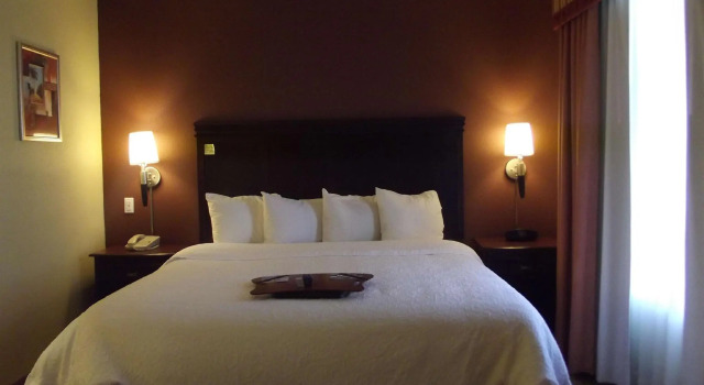Двухместный люкс Hampton Inn & Suites Gainesville