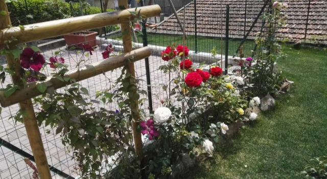 Standard huone B&B Guglielmina