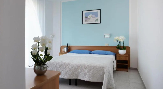 Двухместный номер Standard с балконом Hotel Emilia