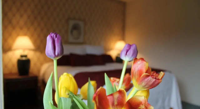 Двухместный люкс Auld Holland Inn