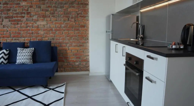 Апартаменты Apartament Gliwice Centrum Witkiewicza I