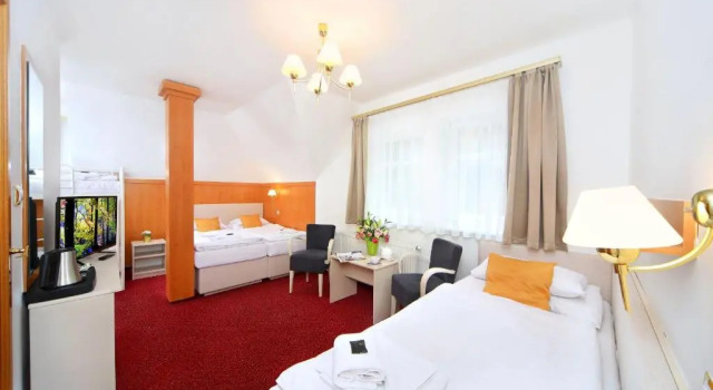 Семейная студия Hotel Hradec