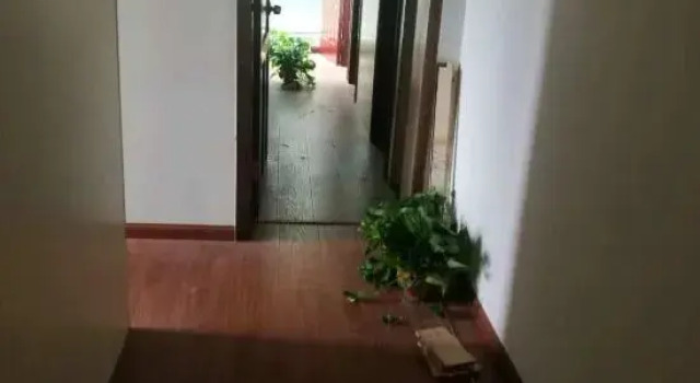 Fuyang New Concept Accommodation