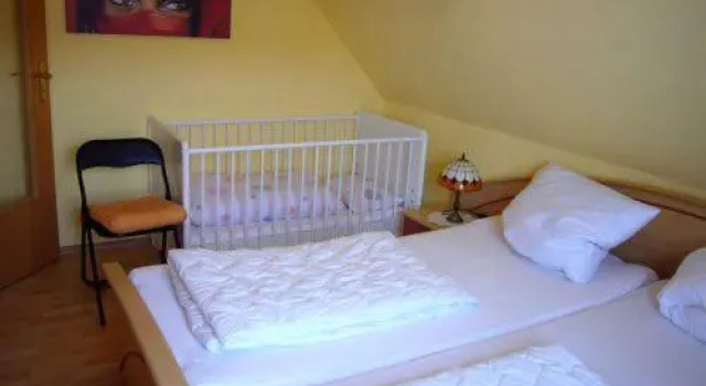 Apartment kleine Robbe