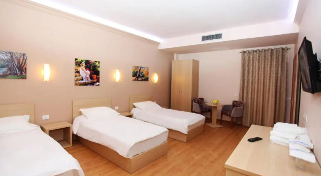 Трёхместный номер Hotel Green