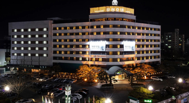 Двухместный номер Superior Yousung Hotel