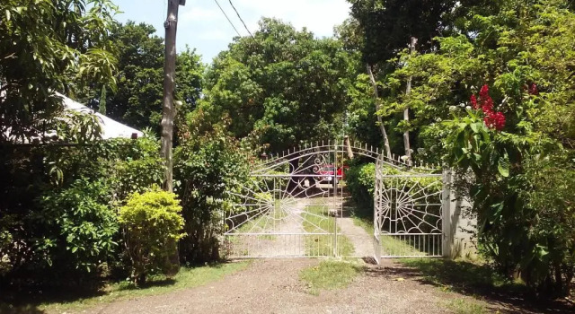 Shades Cottage Guesthouse, Réserver Maison de vacances Belmont Jamaïque