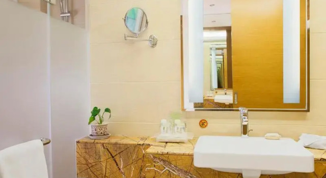 Двухместный номер Standard Holiday Inn Panjin Aqua City by IHG