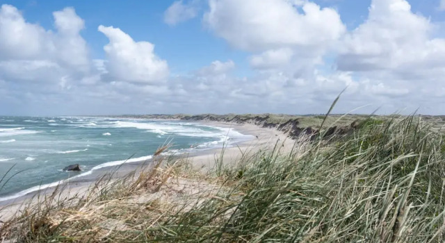 4 Star Holiday Home in Snedsted
