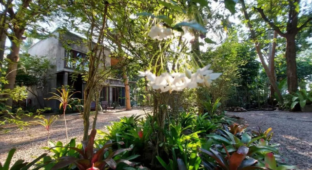 Номер Standard River CoCo Amphawa