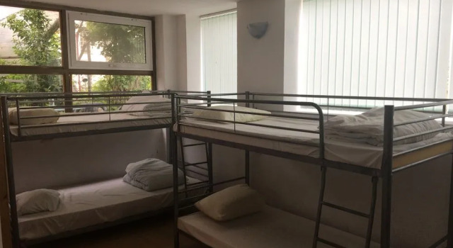 Hair of the Dog Hostel