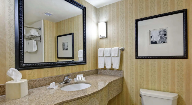 Двухместный номер Standard Hilton Garden Inn Hattiesburg