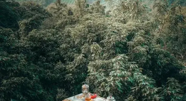 Relaxland Glamping (Guangzhou Zengcheng Baishuizhai Branch), Prenota Campeggio Campeggi e glamping a Guangzhou Area, Campeggio