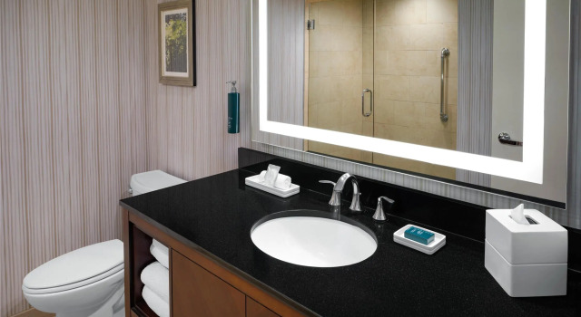 Четырёхместный номер Standard Hilton Washington DC/Rockville Hotel & Executive Meeting Center