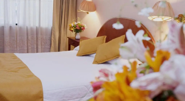 Standardní Jednolůžkový pokoj a výhledem do parku Hotel Vilandré