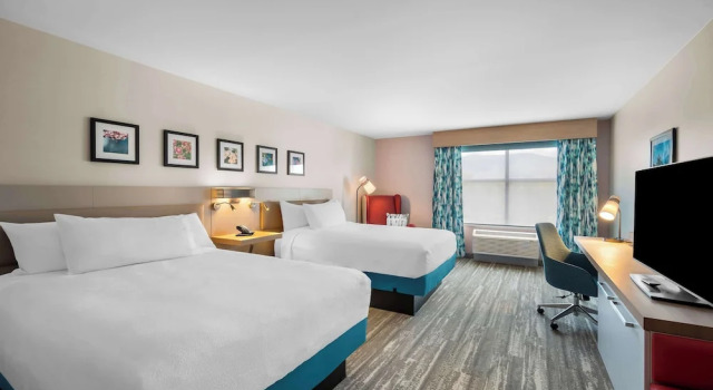 Четырёхместный номер Standard Hilton Garden Inn North Conway