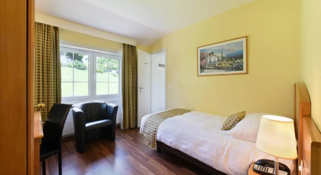 Одноместный номер Standard Hotel du Léman - Jongny