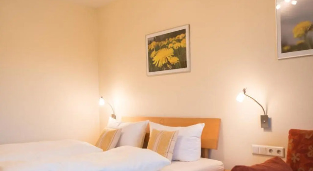 Двухместный номер Standard Landhotel-Gasthof Grüner Baum
