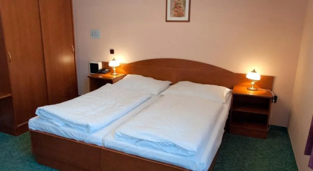 Penzion Harmonie, Book Hotel Chodov Krusne Hory Czech