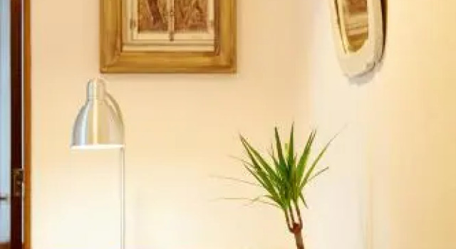 Central Garden Saldanha Apartment