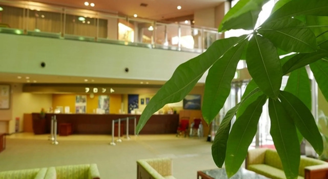 KAMENOI HOTEL Ichinoseki, Prenota Hotel Ichinoseki Iwate