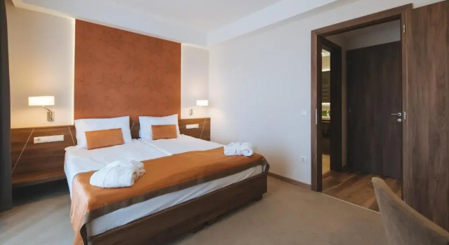 Люкс Deluxe Imola Hotel Platán