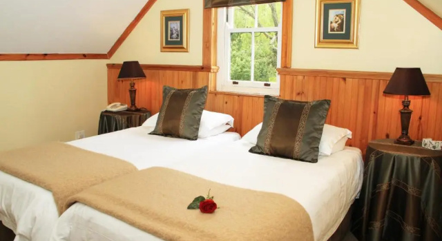 Номер Standard Evergreen Lodge
