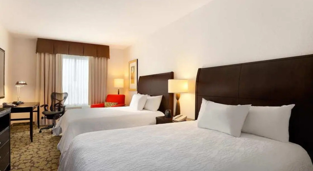 Четырёхместный люкс c 1 комнатой Hilton Garden Inn Edmonton International Airport