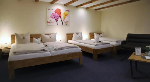 Hotel zur Isar, Rezervasyon Otel Lower Bavaria SPA oteller, SPA