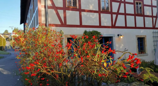 Urlaub im 200 Jahre alten Fachwerkhaus, Prenota Appartamento Hotel a Sassonia con parcheggio, Parcheggio
