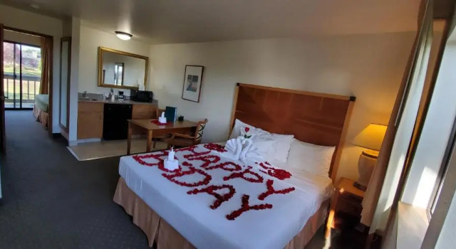 Люкс Olympic View Inn
