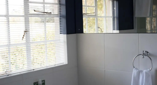 Standard- dobbelt værelse Patcham Place B&B