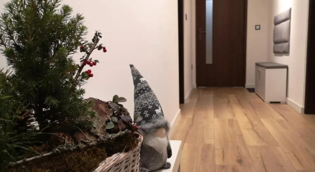 Kalinowka Koscielisko, Book Apartment Kościelisko Tatras