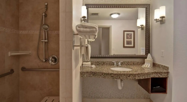 Номер Deluxe Hilton Garden Inn Twin Falls