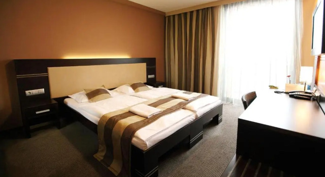 Executive pokoj Hotel Dolphin