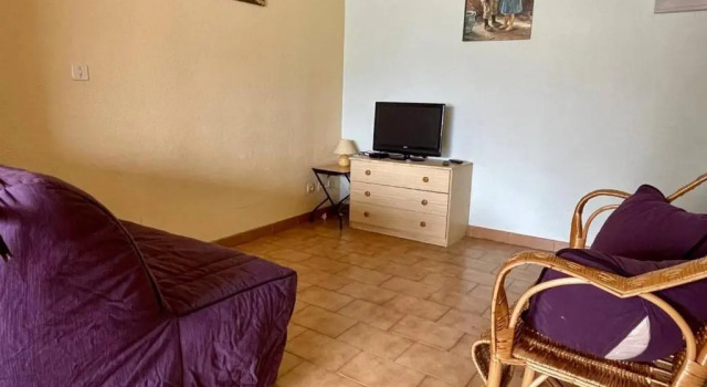 Appartement Argelès-sur-Mer, 1 pièce, 4 personnes - FR-1-225-527