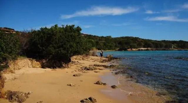 Villetta Ulivo e il mare, Book Hotel Palau Emerald Coast