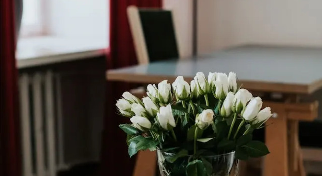 Семейный люкс Bookinn B&B