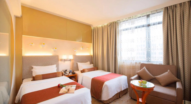 Standardní Dvoulůžkový s manželskou postelí pokoj Hotel Metropole