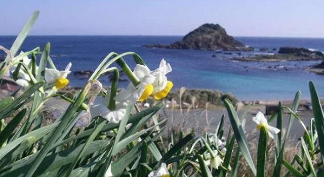 Suzuki Hotel Shimoda, Забронировать Отель Симода 