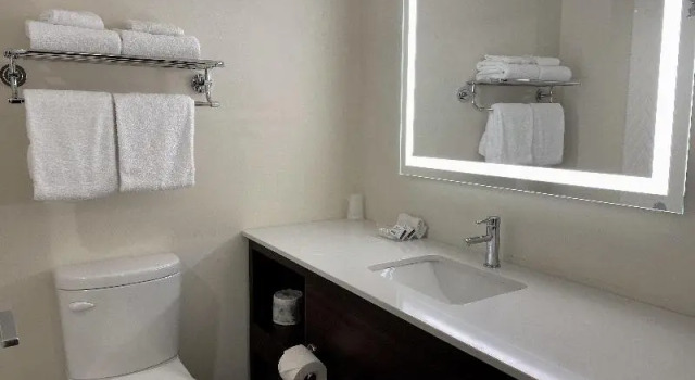 Двухместный люкс Holiday Inn Victoria - Elk Lake by IHG