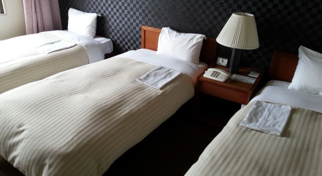 Трёхместный номер Standard с видом на реку Hotel Sun Hitoyoshi