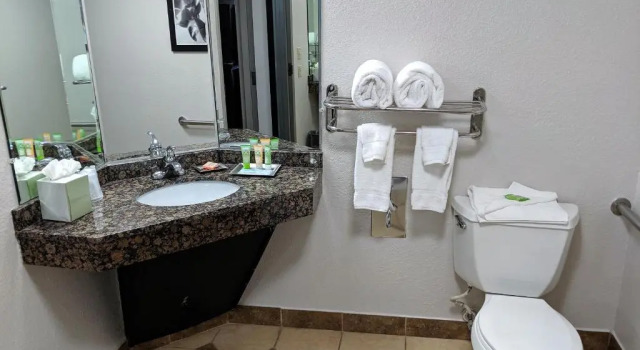 Номер Standard Wyndham Garden Charlotte Airport Southeast
