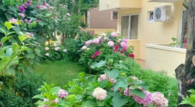 The Franeta Apartments Lux
