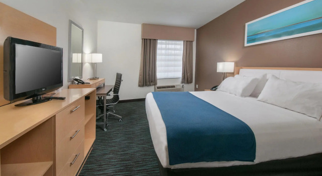 Двухместный номер Standard Holiday Inn Express Hotel & Suites San Antonio - Rivercenter Area by IHG