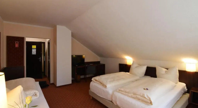 Трёхместный номер Standard Hotel Senator