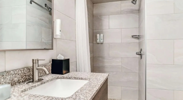 Четырёхместный номер Standard Quality Inn Detroit Downtown