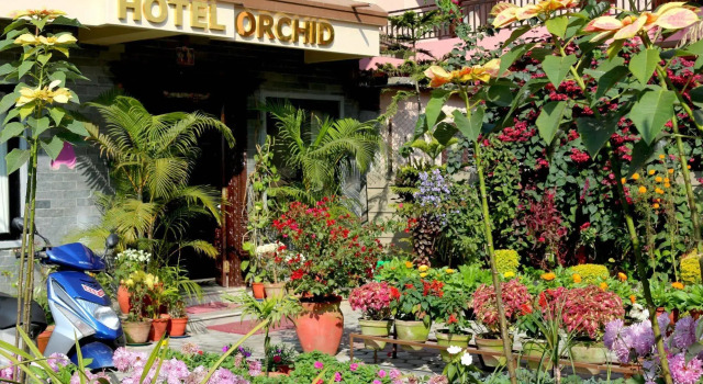 Hotel Orchid, Prenota Hotel Hotel SPA a Gandaki Pradesh Province, SPA